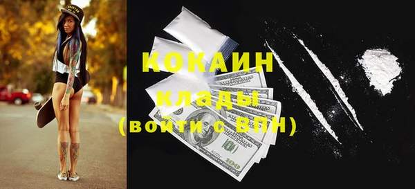 индика Белокуриха