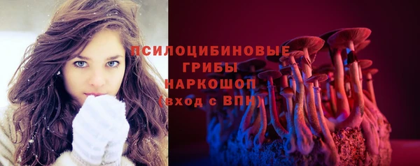 эйфоретик Беломорск