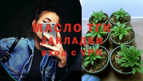 индика Белокуриха
