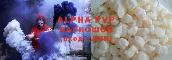 индика Белокуриха