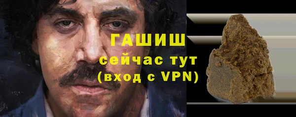 индика Белокуриха