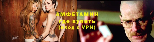 индика Белокуриха