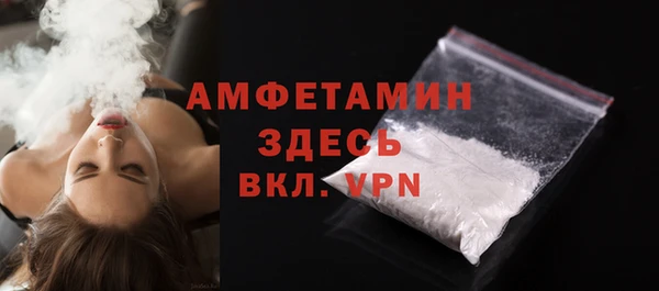 индика Белокуриха
