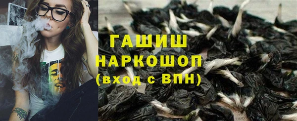 индика Белокуриха