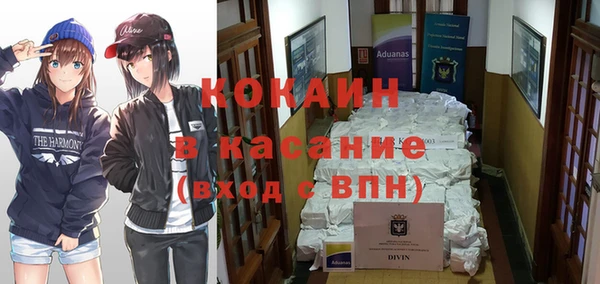 индика Белокуриха