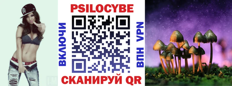 что такое   Малмыж  Галлюциногенные грибы Magic Shrooms 